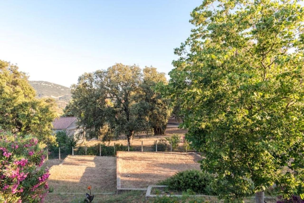 Appartement Dans Maison Chaleureuse Olmeto  Dış mekan fotoğraf
